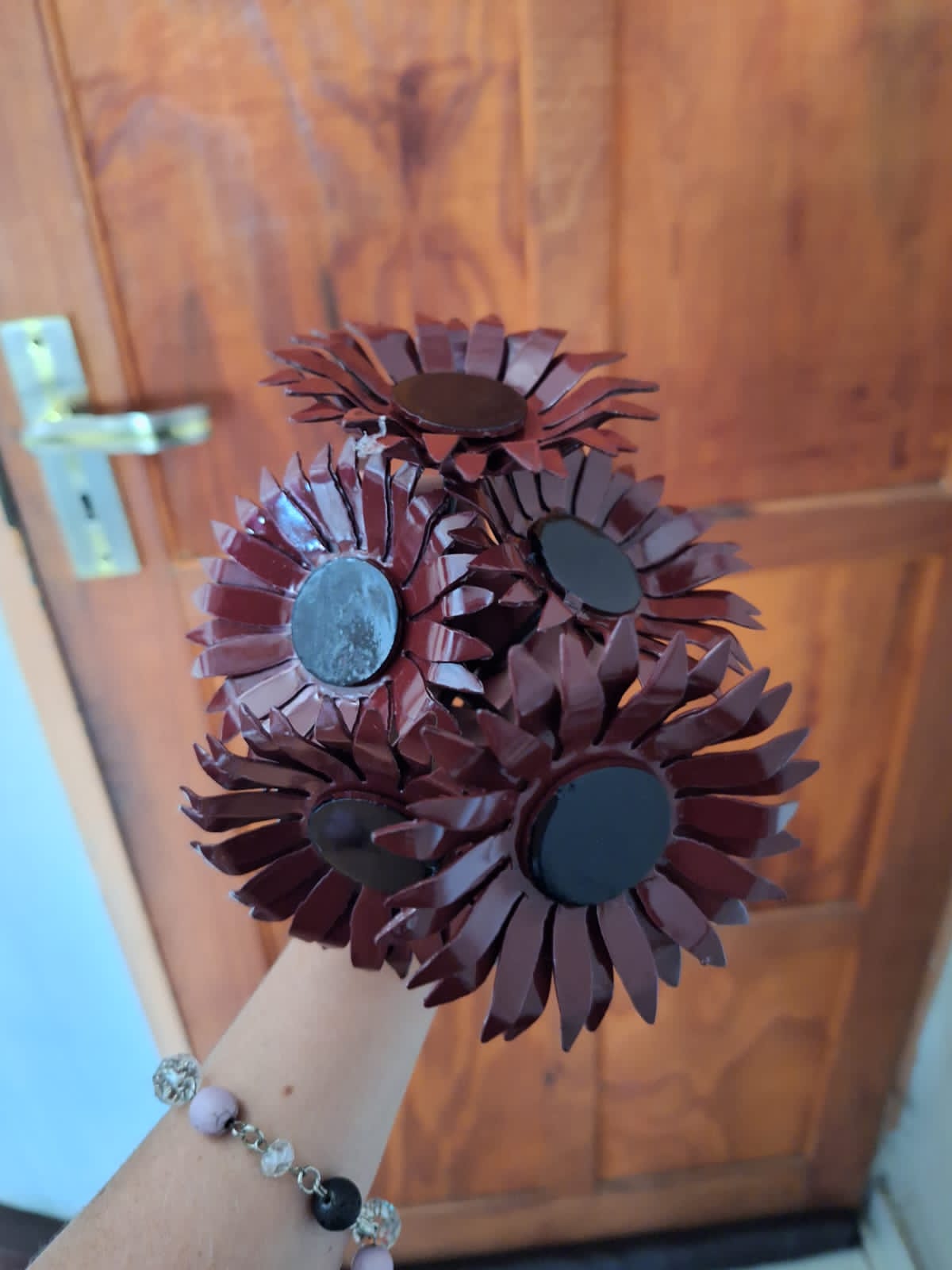 Gerbera Daisies