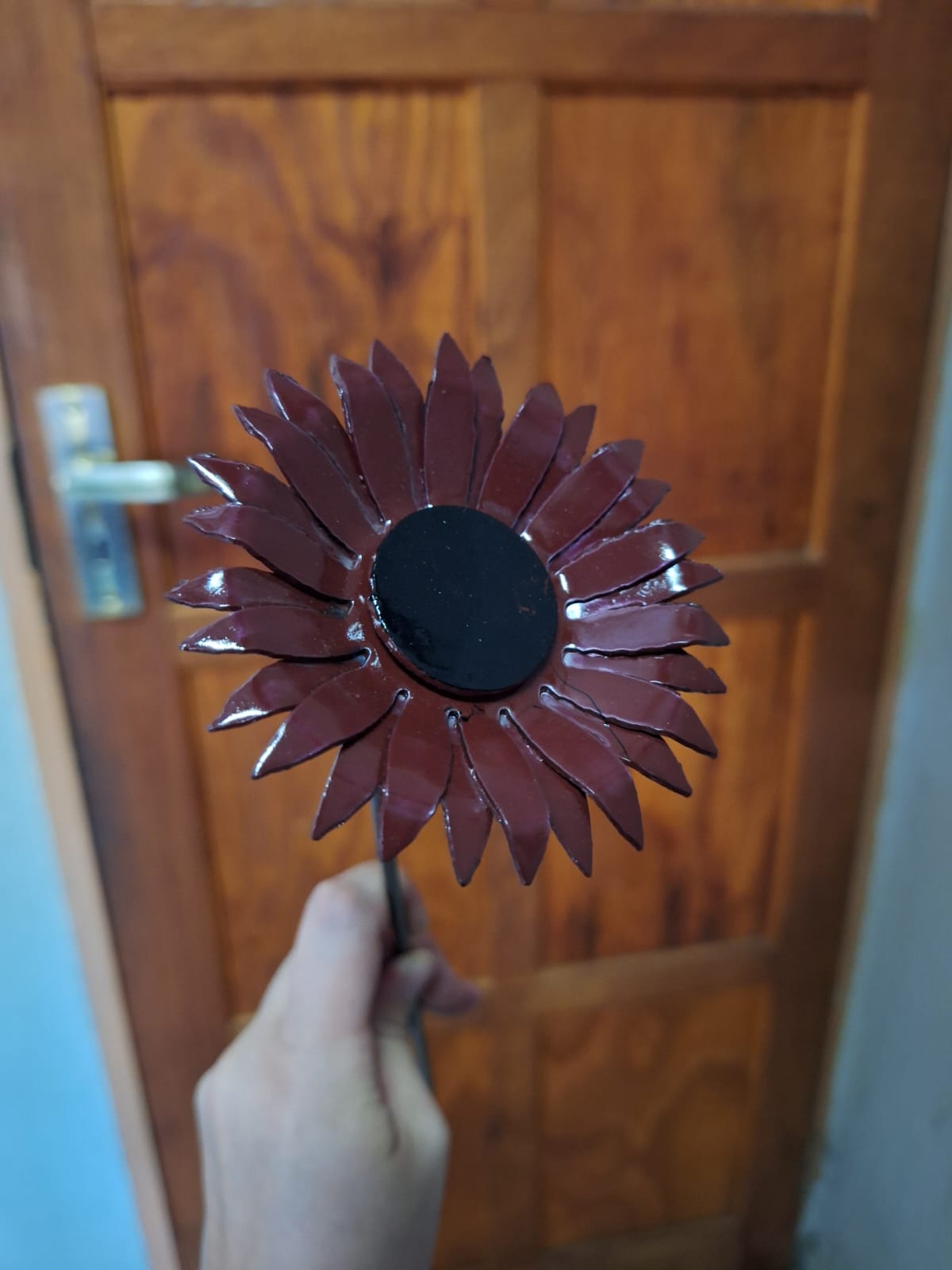 Gerbera Daisies - Image 4