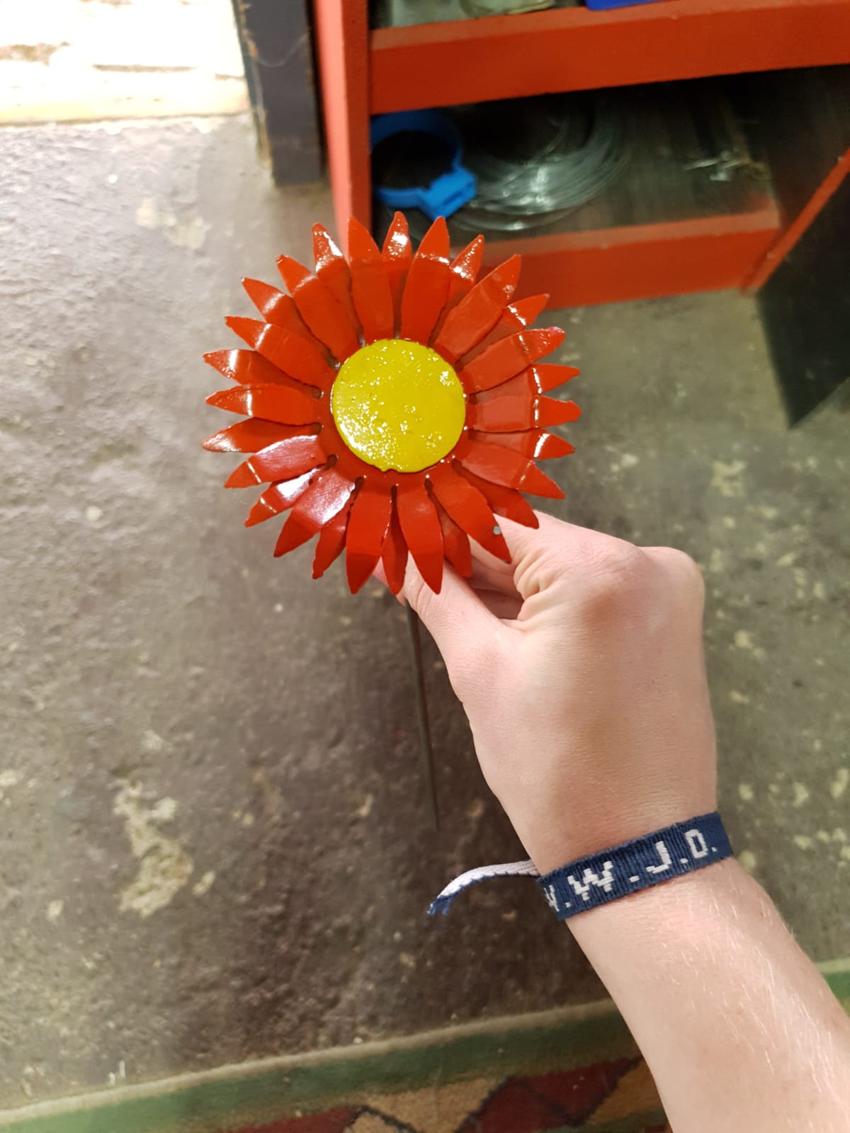 Gerbera Daisies - Image 2