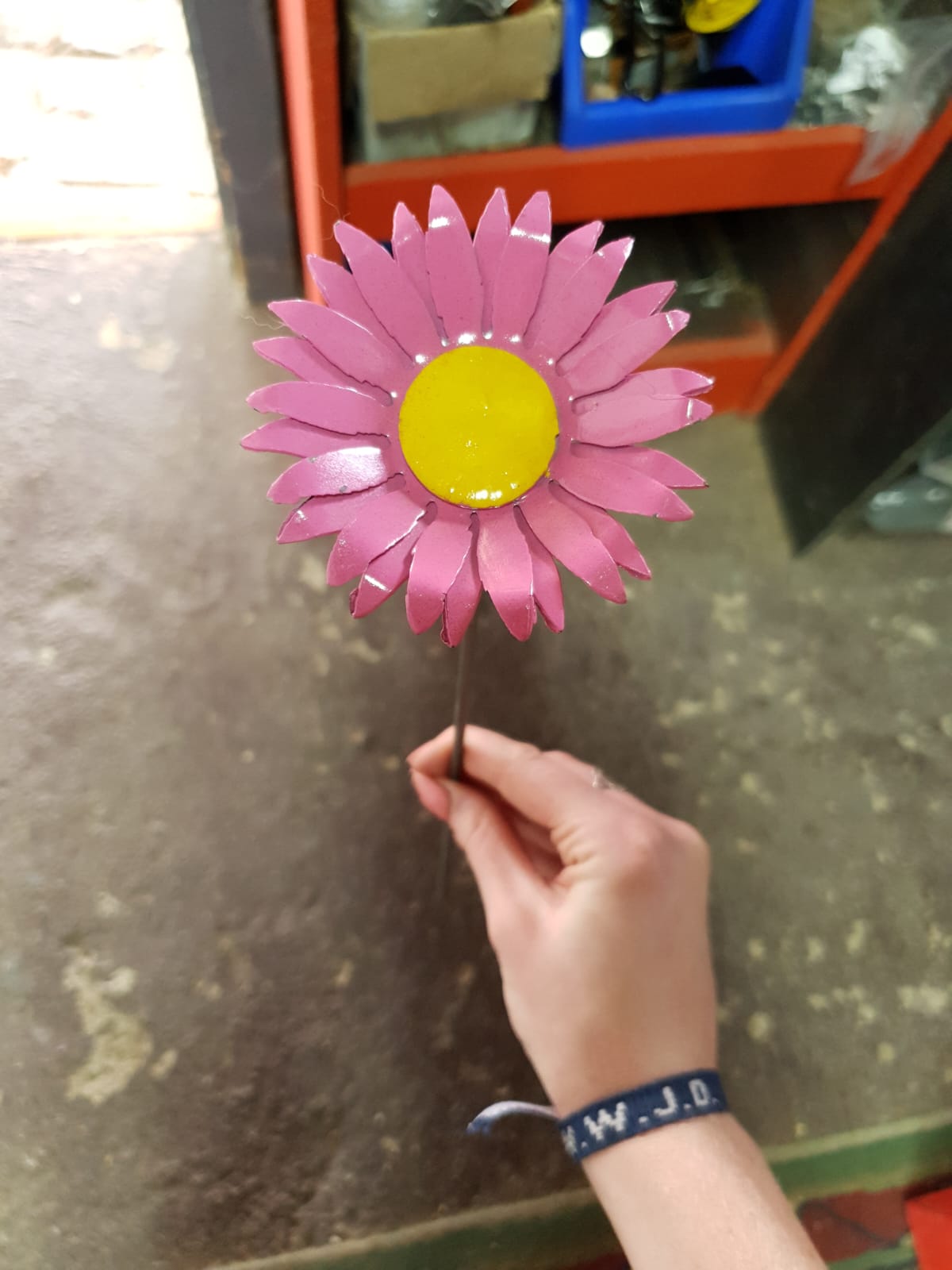 Gerbera Daisies