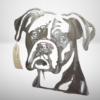 Boxer